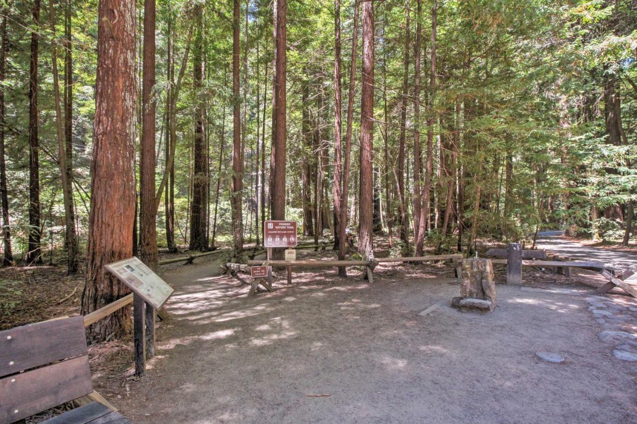 Redwoods Cabin With Hot Tub Walk To Russian River! Guerneville Exterior photo